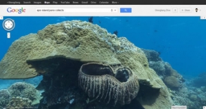 去 Google 街景里潜水吧！